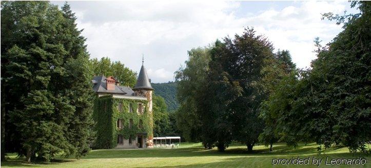 Chateau De La Tour Du Puits Coise-Saint-Jean-Pied-Gauthier Экстерьер фото